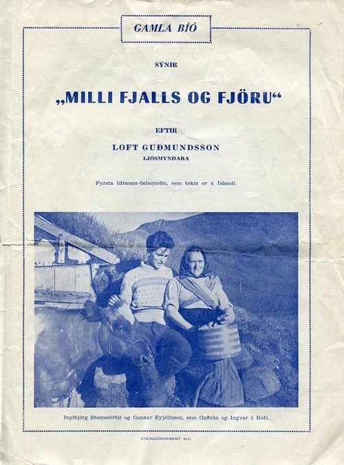Milli fjalls og fjöru poster