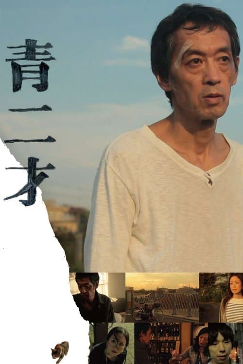 青二才 poster