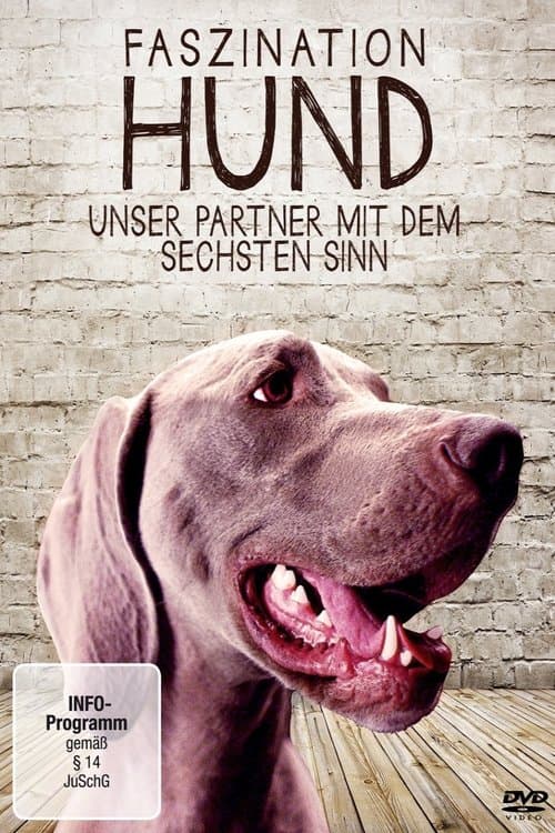 Faszination Hund - Unser Partner mit dem sechsten Sinn poster