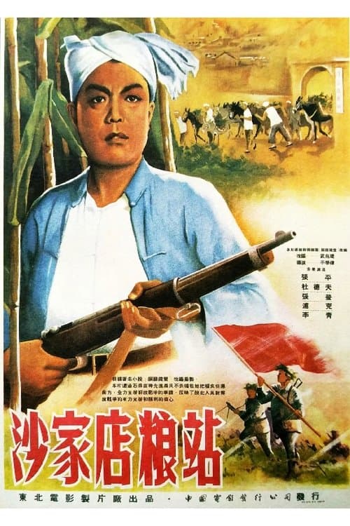 沙家店粮站 poster