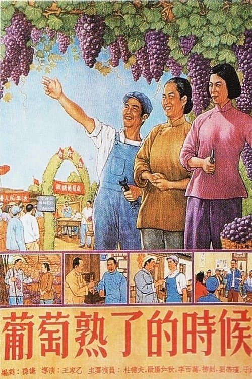 葡萄熟了的时候 poster
