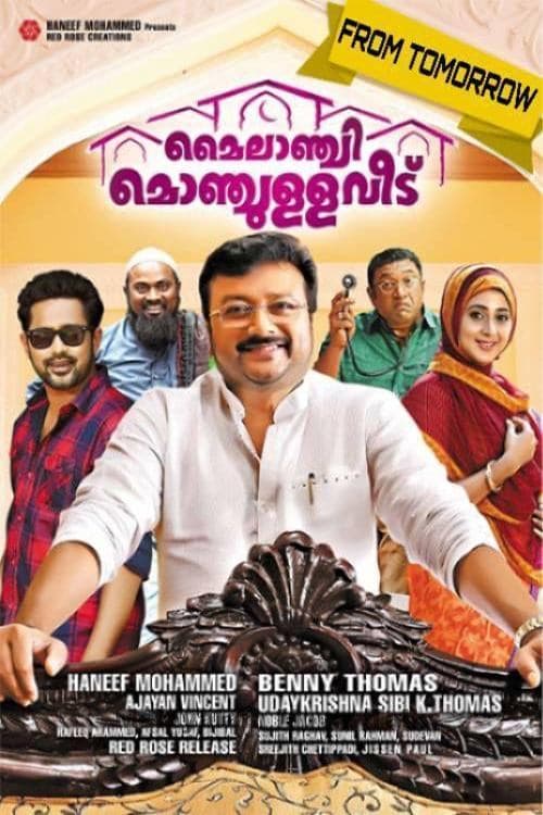 മൈലാഞ്ചി മൊഞ്ചുള്ള വീട് poster