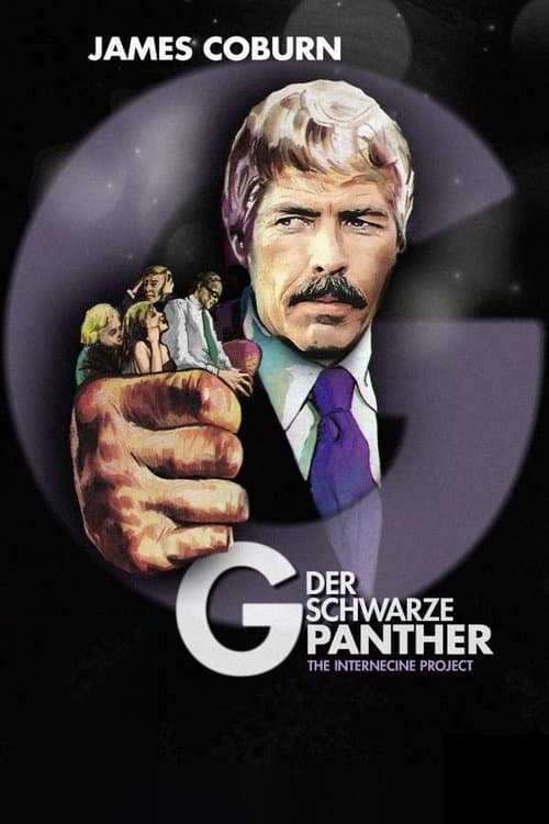 Der schwarze Panther poster