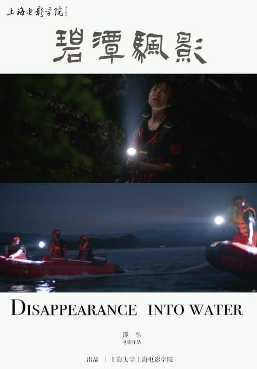 碧潭帆影 poster