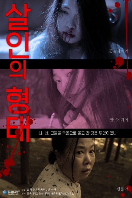 살인의 형태 poster
