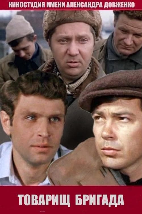 Товарищ бригада poster