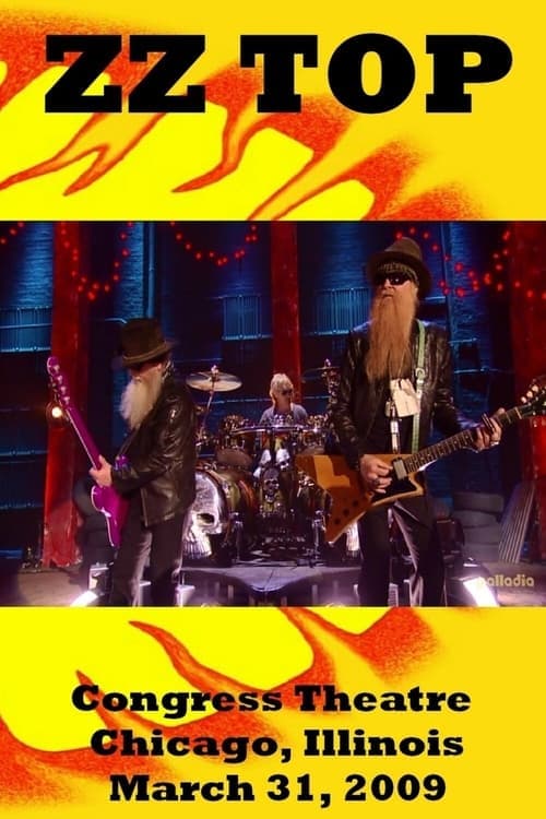 ZZ Top - VH1 Storytellers poster