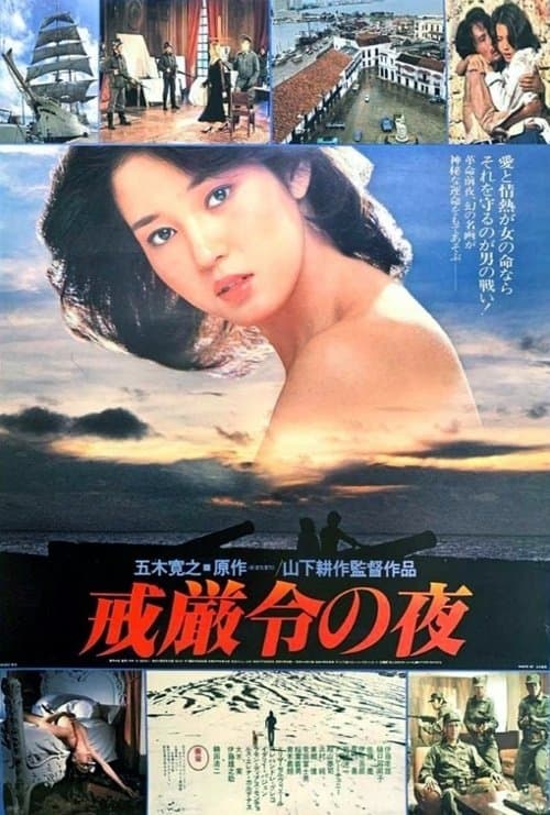 戒厳令の夜 poster