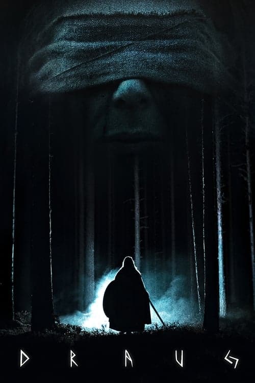 Viking - Dark Ages poster