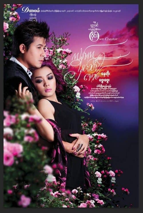 ကျွန်မက နှင်းဆီပါ မောင် poster
