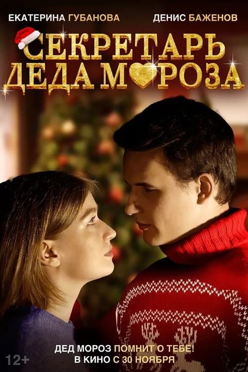 Секретарь Деда Мороза poster