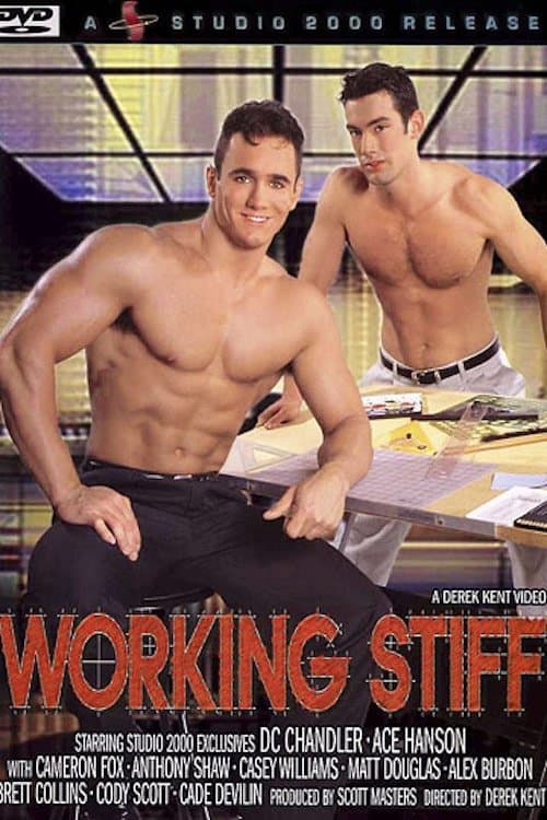 Working Stiff poster