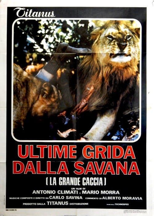 Ultime grida dalla savana poster