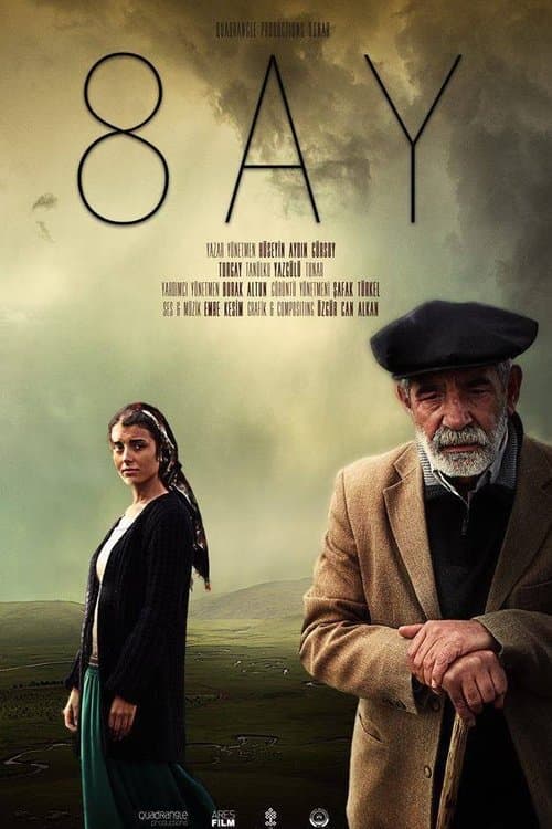 8 Ay poster