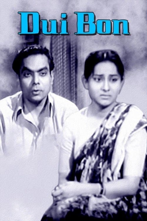 দুই বোন poster