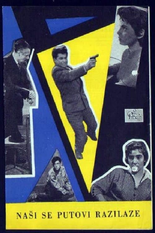 Naši se putovi razilaze poster