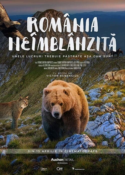 Ungezähmtes Rumänien poster