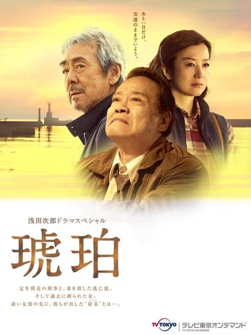 琥珀 poster