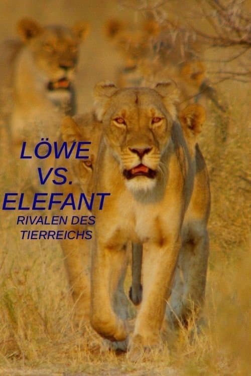 Löwe vs. Elefant: Rivalen des Tierreichs poster