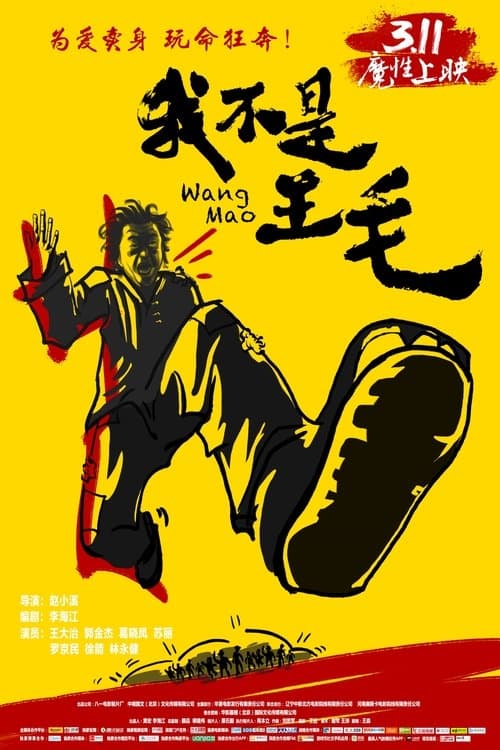我不是王毛 poster