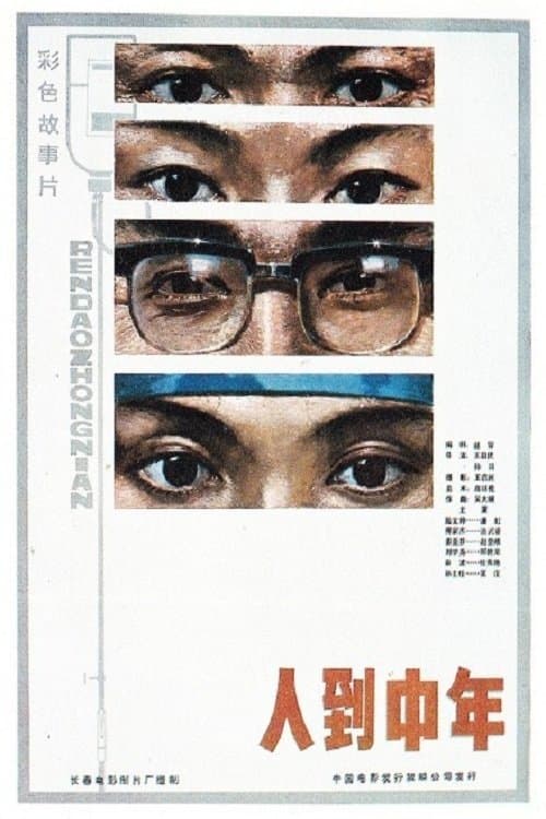 人到中年 poster
