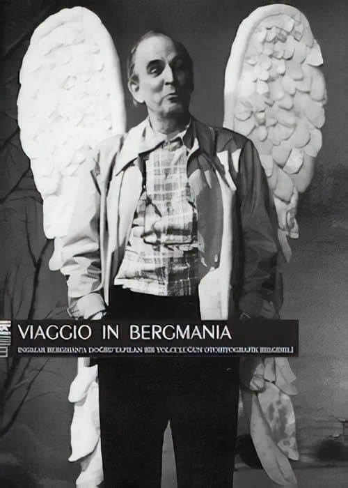 Bergmanya'ya Yolculuk poster
