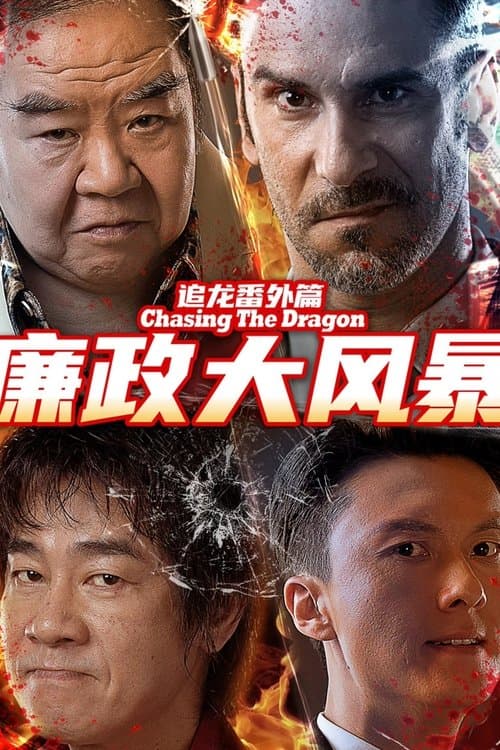 追龙番外篇之廉政大风暴 poster
