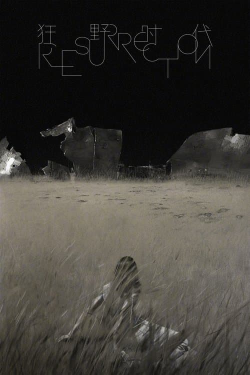 狂野时代 poster