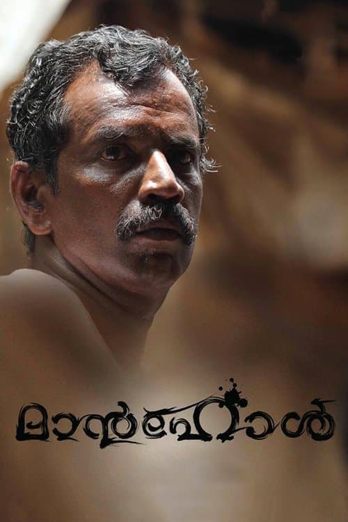 മാന്‍ഹോള്‍ poster
