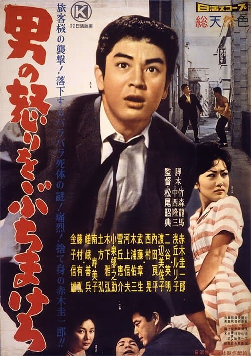 男の怒りをぶちまけろ poster