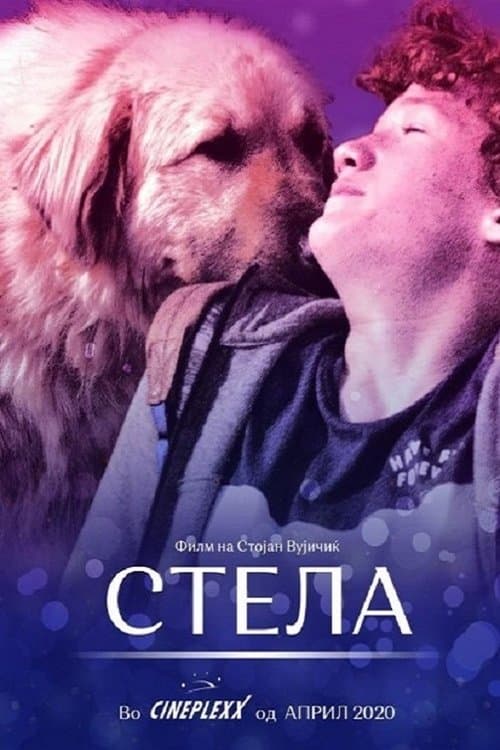 Стела poster