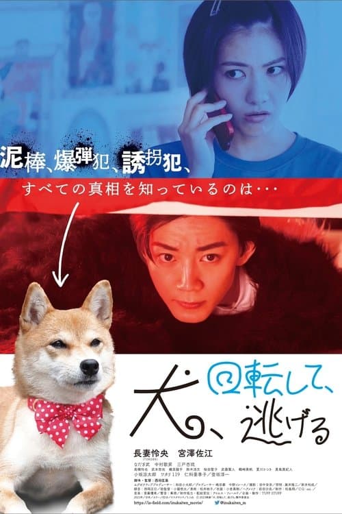 犬、回転して、逃げる poster