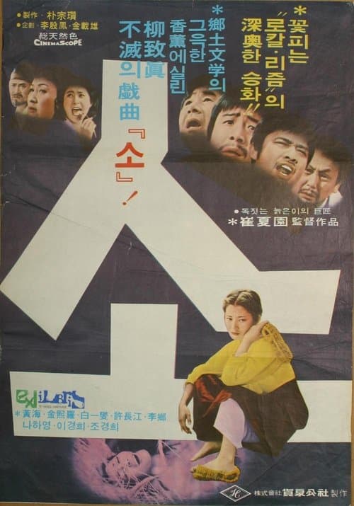 소 poster