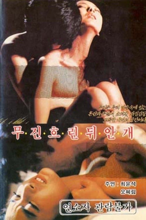 무진 흐린뒤 안개 poster