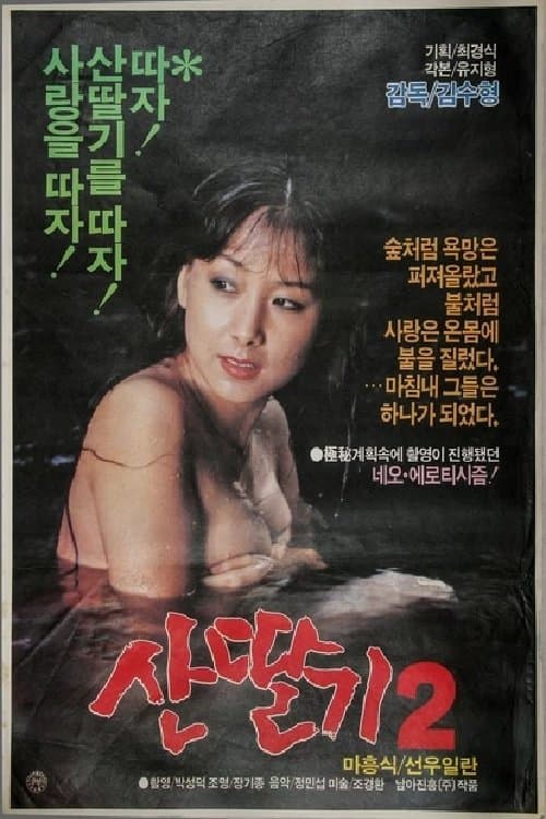 산딸기 2 poster