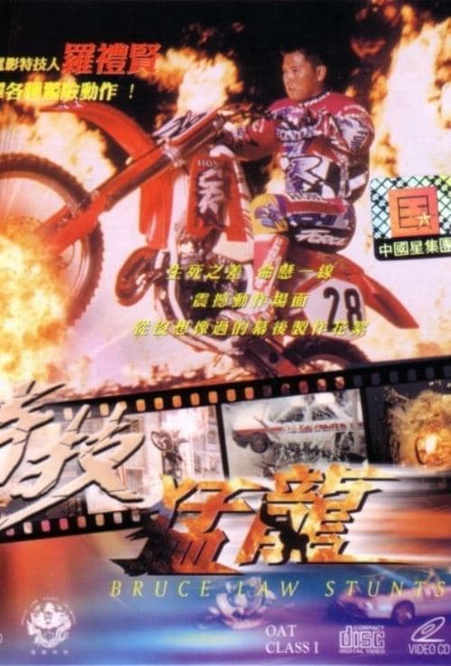 特技猛龍 poster