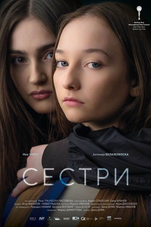 Сестри poster