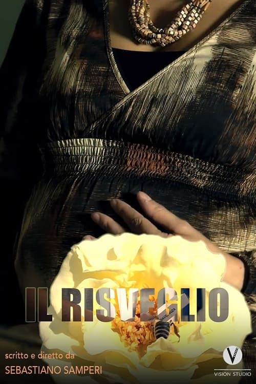 Il risveglio poster