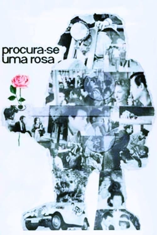 Procura-se Uma Rosa poster