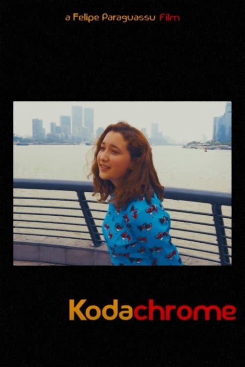 Kodachrome poster