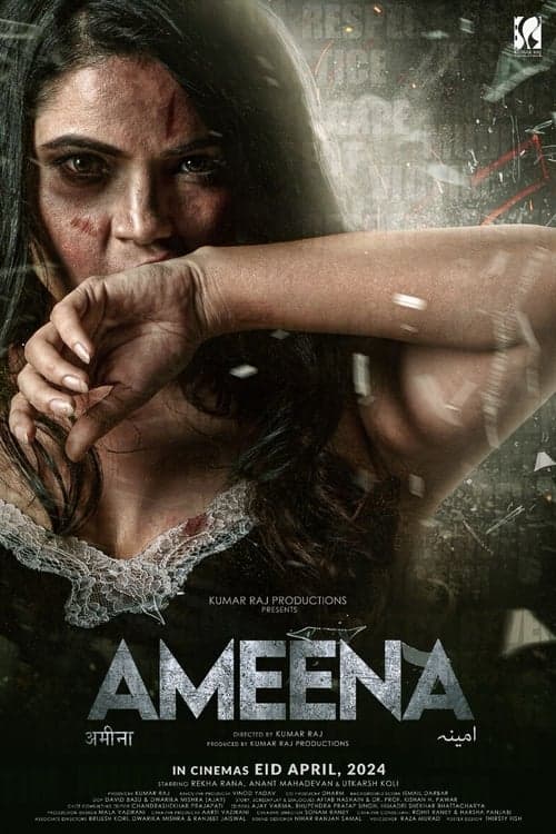 अमीना poster