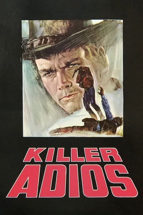 Killer, adiós poster