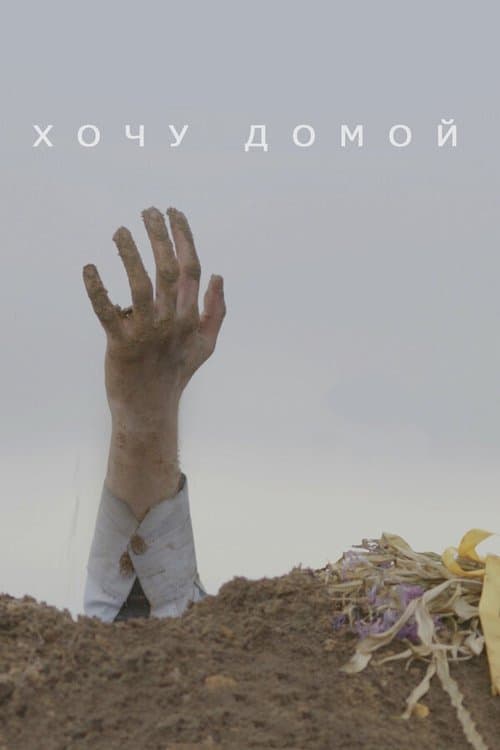 Хочу домой poster