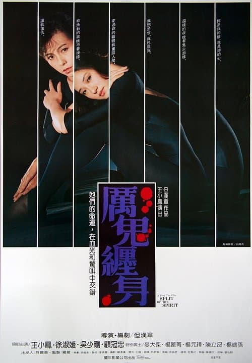 離魂 poster