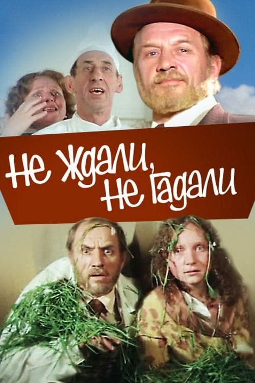 Не ждали, не гадали poster