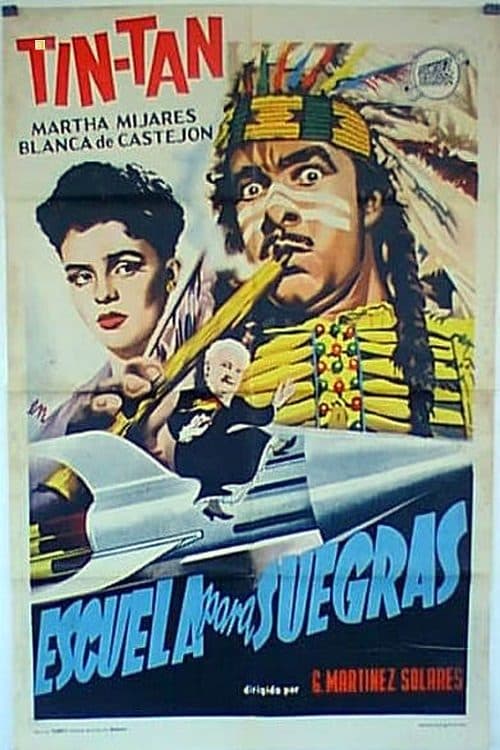 Escuela para suegras poster