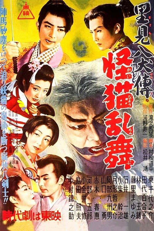 里見八犬傳　第三部　怪描乱舞 poster