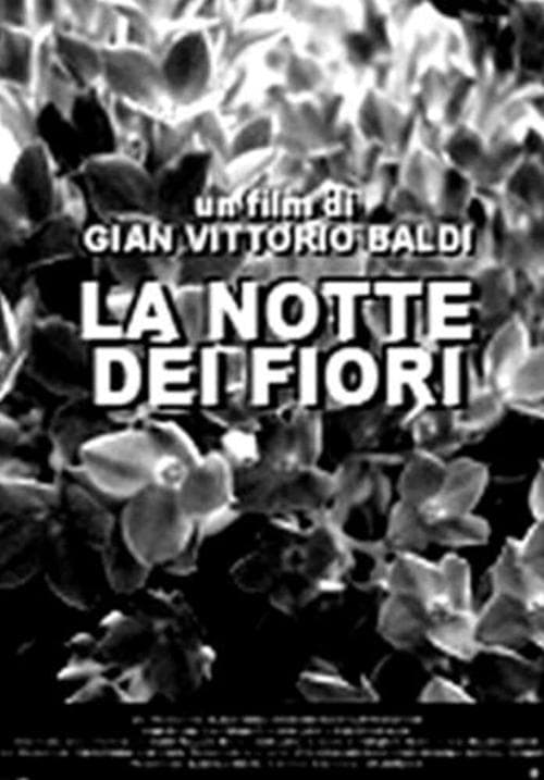 La notte dei fiori poster