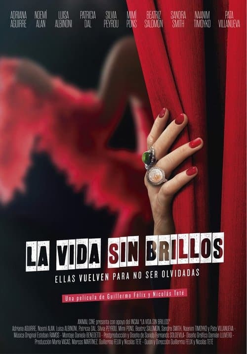 La vida sin brillos poster