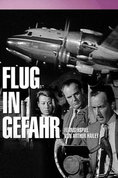 Flug in Gefahr poster